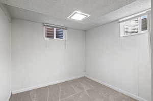 Basement with a wealth of natural light, carpet flooring, and a textured ceiling