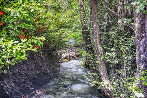 View of local wilderness with a water view