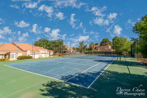 Community Pickleball Court