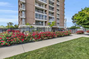 Behind the row of rose bushes is a community patio area with barbeque, lounge chairs and outdoor plants