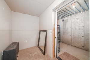 Basement storage area featuring light carpet