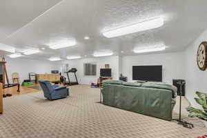 Carpeted living room featuring a textured ceiling