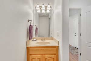 Bathroom with vanity with extensive cabinet space and hardwood / wood-style flooring