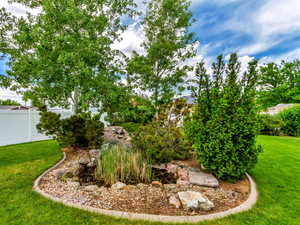 Water feature and stream in the back yard