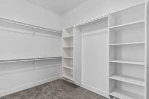 Walk in closet with dark colored carpet