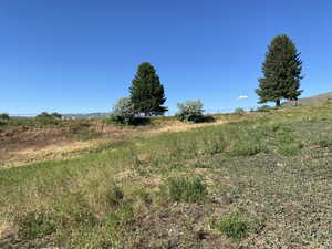 View of local wilderness featuring a rural view