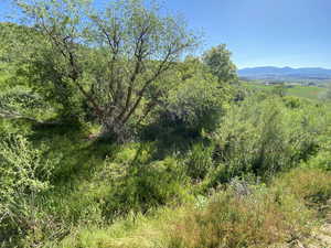 View of property view of mountains