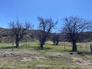 View of yard with a rural view