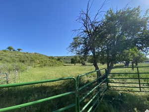 View of yard featuring a rural view