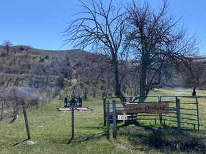 View of property view of mountains