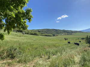 Property view of mountains with a rural view