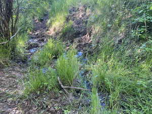 View of nature with a water view