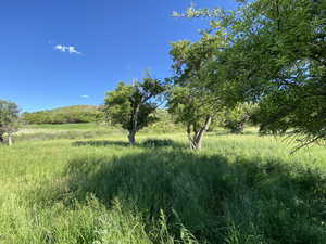 View of nature featuring a rural view