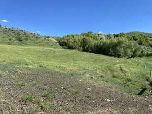 View of local wilderness featuring a rural view