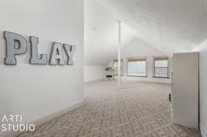 Interior space with carpet, a textured ceiling, and lofted ceiling