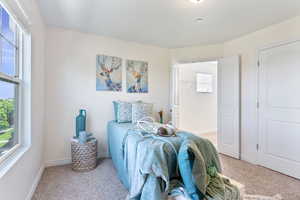 Bedroom with multiple windows and light colored carpet