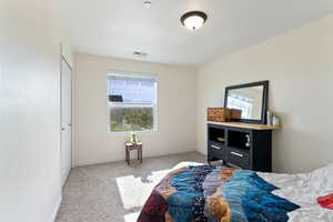 Bedroom with multiple windows, a closet, and light colored carpet