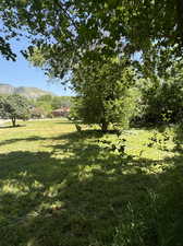 View of yard with a Mountain View from back of lot