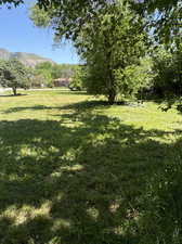 View of yard featuring a Mountain View from back of lot