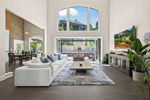 Living room featuring a healthy amount of sunlight and dark wood-type flooring