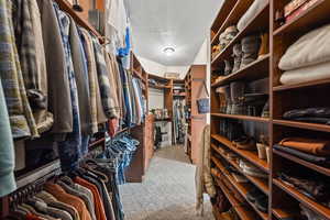 Walk in closet with carpet