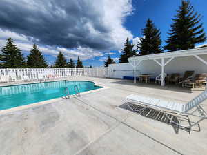 View of pool featuring a patio