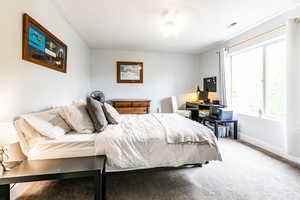 Second Bedroom featuring carpet and ceiling fan with large window and spacious area.