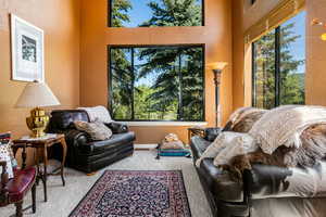 Living room featuring carpet and plenty of natural light