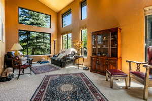 Carpeted living room with high vaulted ceiling