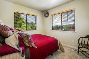 Bedroom with carpet