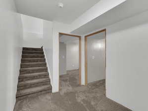 Basement featuring carpet floors