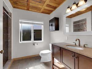 Bathroom featuring tile flooring, wooden ceiling, a healthy amount of sunlight, toilet, and vanity