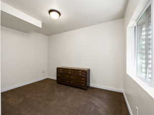 basement bedroom with walk in closet