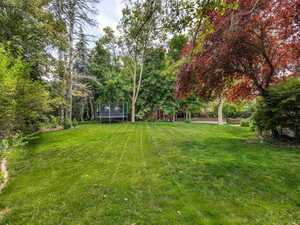 Wooded backyard with mature trees