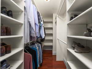 Spacious closet in master bedroom featuring dark wood-type flooring