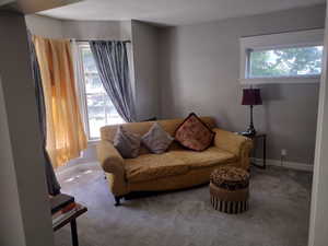 Living room featuring carpet floors