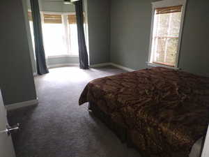 Carpeted bedroom with multiple windows