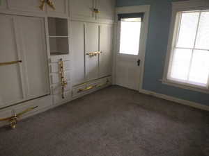 Unfurnished bedroom with carpet and multiple windows