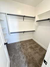 Walk in closet with carpet