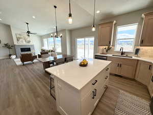 Kitchen with a wealth of natural light, sink, light hardwood / wood-style flooring, light brown cabinets, and a kitchen island