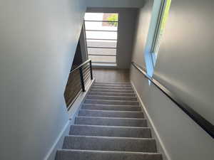 Staircase featuring hardwood / wood-style flooring