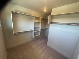 Walk in closet featuring dark colored carpet