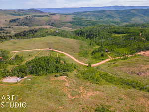 Drone / aerial view with a mountain view