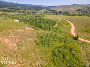 Bird's eye view featuring a mountain view