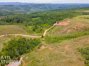 Aerial view with a mountain view