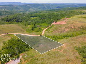 Drone / aerial view featuring a mountain view