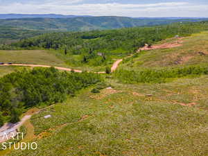 Bird's eye view with a mountain view