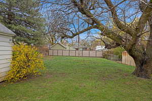 View of yard, 70+ years Walnut tree