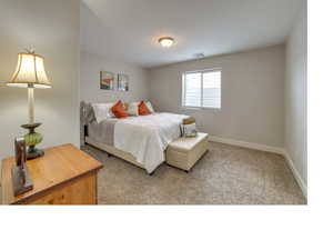 Bedroom with carpet floors