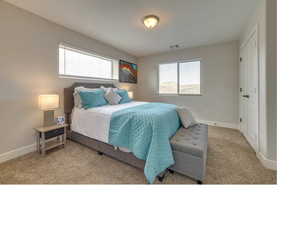 Carpeted bedroom featuring multiple windows